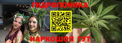 шишки Партизанск