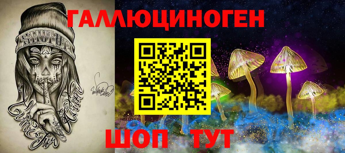 Галлюциногенные грибы Psilocybine cubensis Ржев